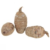 Prodotto Pigne di cedro, cedro decorativo, naturale, 9-10,5 cm, 3 pezzi
