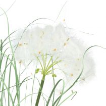 Erba ornamentale con semi bianchi verdi H73cm