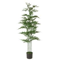 Prodotto Bambù artificiale, verde, 132 cm, pianta da appartamento