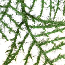 Prodotto Bambù artificiale, verde, 132 cm, pianta da appartamento