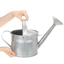 Prodotto Annaffiatoio vintage in zinco, 27 cm - fioriera per giardino e patio, vaso da fiori in metallo