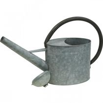 Prodotto Annaffiatoio in metallo vintage, grigio argento, elegante decorazione da giardino, vaso per fiori, L53cm H29cm