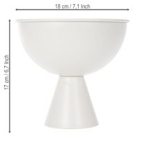 Prodotto Trofeo in evidenza per la decorazione della tavola e il design moderno degli interni 18 cm