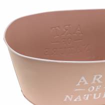 Prodotto Portafiori ovale in zinco rosa antico 27×18 cm H12,5 cm