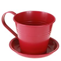 Prodotto Tazza da piantare con piattino per giardini creativi, 11 cm, 6 pezzi