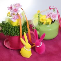 Prodotto Tazza da piantare con piattino per giardini creativi, 11 cm, 6 pezzi