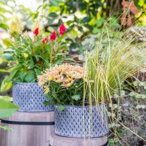 Vaso in zinco con motivo a rombi ovale 23 cm x 15 cm / 21,5 cm x 14 cm 2 pezzi