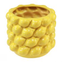 Vaso porta limone fioriera in ceramica giallo limone Ø17cm H15cm