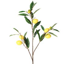 Prodotto Ramo di limone artificiale Ramo di limone artificiale 91 cm 2 pezzi