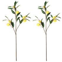 Prodotto Decorazione con ramo di limone, piante artificiali, 91 cm, set da 2