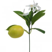 Ramo decorativo limone e fiori ramo artificiale decorazione estiva 26 cm 4 pezzi