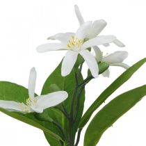 Ramo decorativo limone e fiori ramo artificiale decorazione estiva 26 cm 4 pezzi