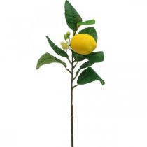 Ramo decorativo limone ramo di limone artificiale 42cm 3pz