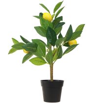 Prodotto Albero di limone artificiale in vaso, alto 40 cm, elemento decorativo