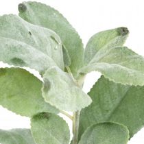 Prodotto Piante artificiali di salvia foglie di salvia decorazione floreale decorazione salvia 68 cm 2 pz