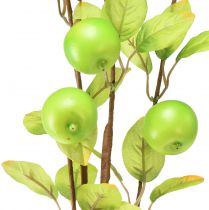 Prodotto Ramo di melo decorativo artificiale verde 80 cm