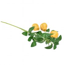 Prodotto Ramo di pero decorativo artificiale, giallo, 75 cm, ramo di frutta, decorazione floreale artificiale