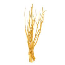 Deco Branches Mitsumata Yellow 45-60cm 12 pezzi