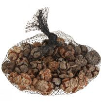 Prodotto Pigne di cipresso pigne decorative di cipresso naturale 2-4 cm 250 g
