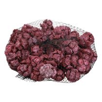 Prodotto Pigne di cipresso decoro naturale satinato 3 cm rosso scuro 500 g