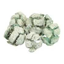 Prodotto Pigne di cipresso decoro naturale satinato 3 cm verde 500 g