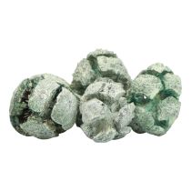 Prodotto Pigne di cipresso decoro naturale satinato 3 cm verde 500 g