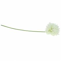 Prodotto Allium ornamentale artificiale Bianco Ø12cm A62cm