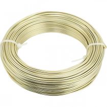 Prodotto Filo di alluminio Ø2mm filo decorativo champagne tondo 480g