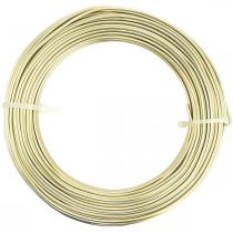 Prodotto Filo decorativo in alluminio per progetti di artigianato e fioristica