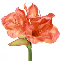 Prodotto Fiori decorativi Amaryllis in artificiale arancione L55cm 2 pezzi