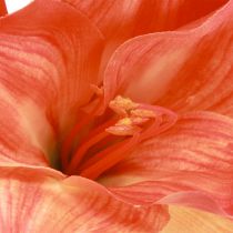 Prodotto Fiori decorativi Amaryllis in artificiale arancione L55cm 2 pezzi
