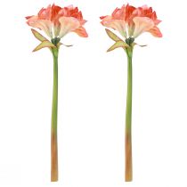 Prodotto Fiori decorativi Amaryllis in artificiale arancione L55cm 2 pezzi