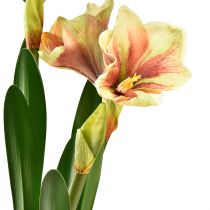 Prodotto Amaryllis artificiale in una palla di muschio con fiori a motivi rosa-gialli - 45 cm - Decorazione esotica ed elegante