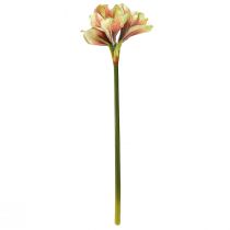 Prodotto Fiore di amaryllis artificiale in rosa e giallo - 66 cm - idea regalo ideale e decorazione elegante per interni