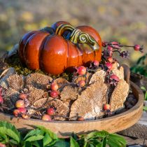 Prodotto Funghi decorativi naturali in spugna per albero secchi 6 cm 1 kg