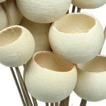 Bell Cup Mix sbiancato su stick 15pz