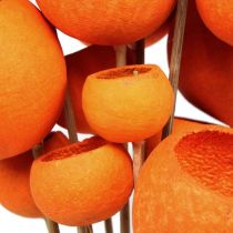 Bell Cup Mix su stecco Arancio 15pz