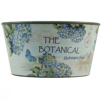 Prodotto Fioriera per fiori di ortensie rotonda in plastica Ø21cm H11cm