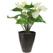 Prodotto Vaso per orchidee vaso da fiori in plastica antracite 13,5x13x16,5 cm 4 pezzi