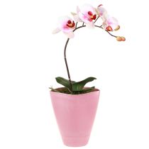 Prodotto Vaso da fiori vaso in plastica vaso per orchidee rosa H16,5 cm 4 pezzi