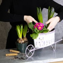 Prodotto Carriola portafiori con elegante effetto lavanda, 46 cm
