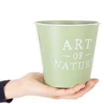 Prodotto Vaso da fiori in zinco, verde menta, Ø15cm, H13.5cm