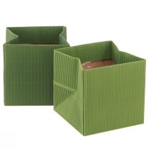 Prodotto Busta per fiori verde verde oliva a coste con pellicola 10,5 cm 6 pz