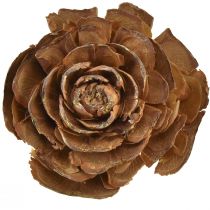 Prodotto Coni di cedro tagliati a rosa di cedro rosa 4-6 cm naturali 50 pz