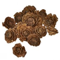Prodotto Coni di cedro tagliati a rosa di cedro rosa 4-6 cm naturali 50 pz