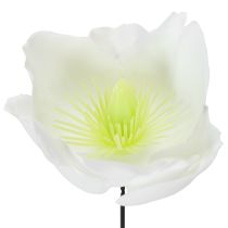 Prodotto Rosa di Natale su filo, bianca, 50 pezzi