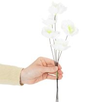 Prodotto Rosa di Natale su filo, bianca, 50 pezzi
