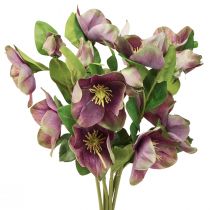 Prodotto Rose di Natale Rose di neve artificiali Fiore viola L35cm 6 pz