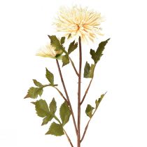 Prodotto Fiore artificiale crema di crisantemo con 2 fiori L70cm