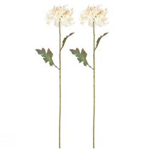 Prodotto Crisantemo Fiori Decorativi Artificiali Crema L72cm 2pz